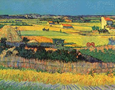 Harvest at La Crau, Vincent Van Gogh
